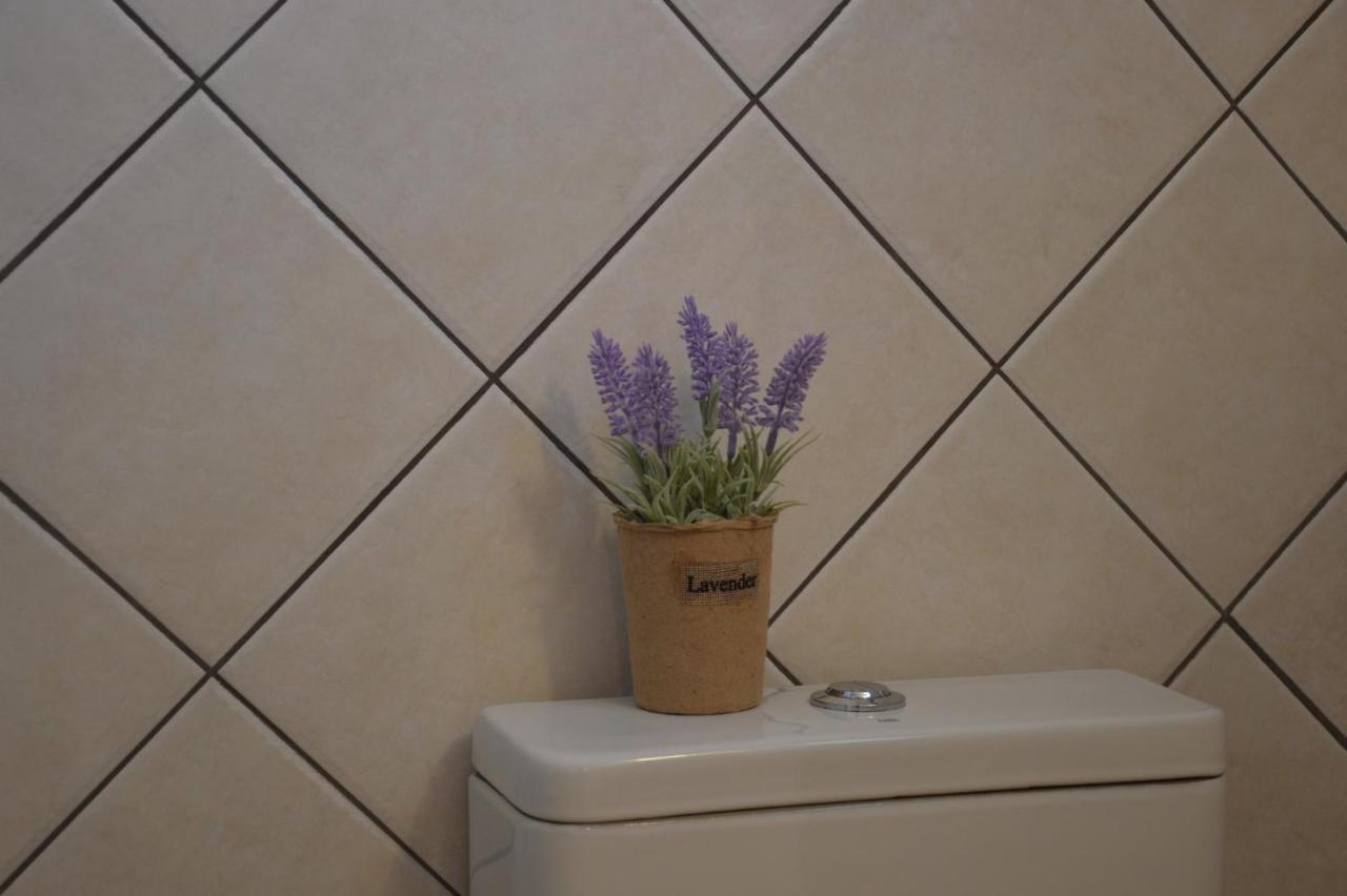 Cute Studio In Milos Tripiti Ngoại thất bức ảnh